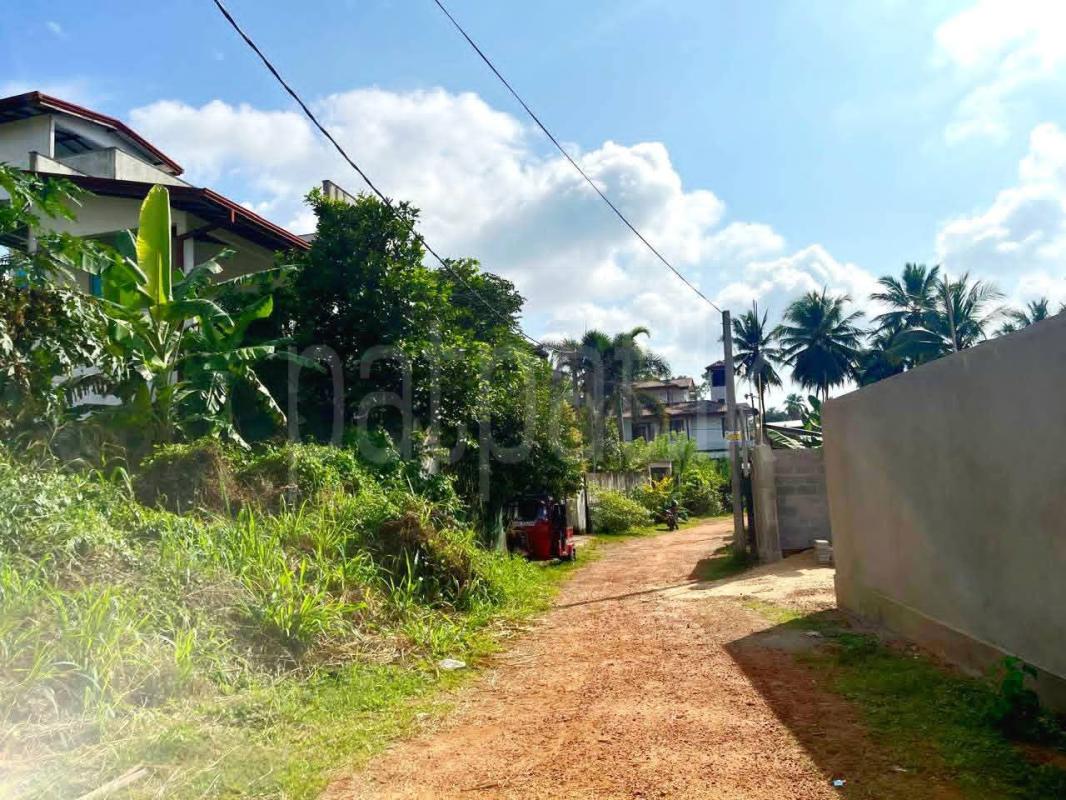 Agricultural Land for Sale in Delgoda