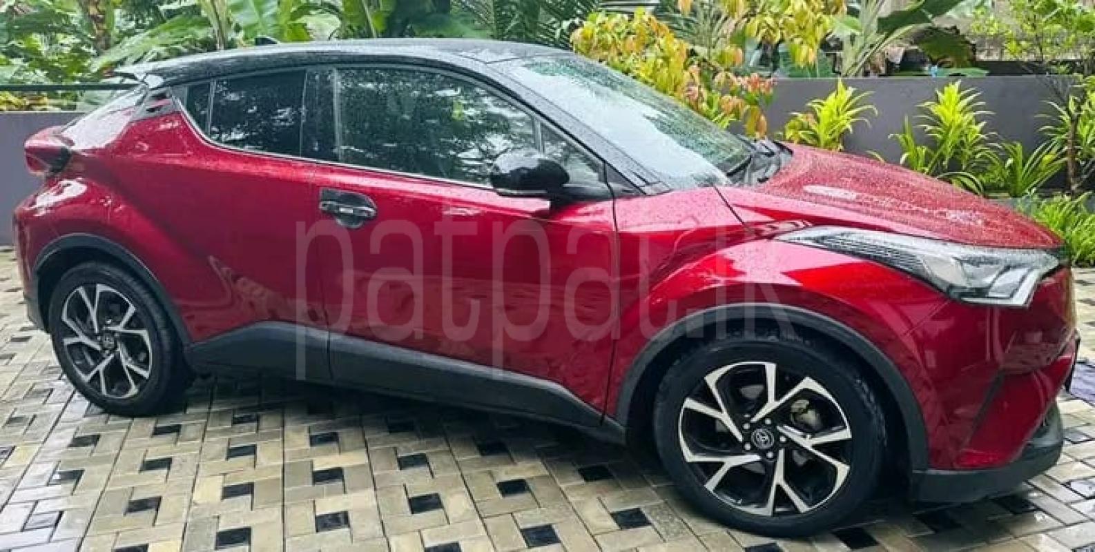 Advertisement image 5