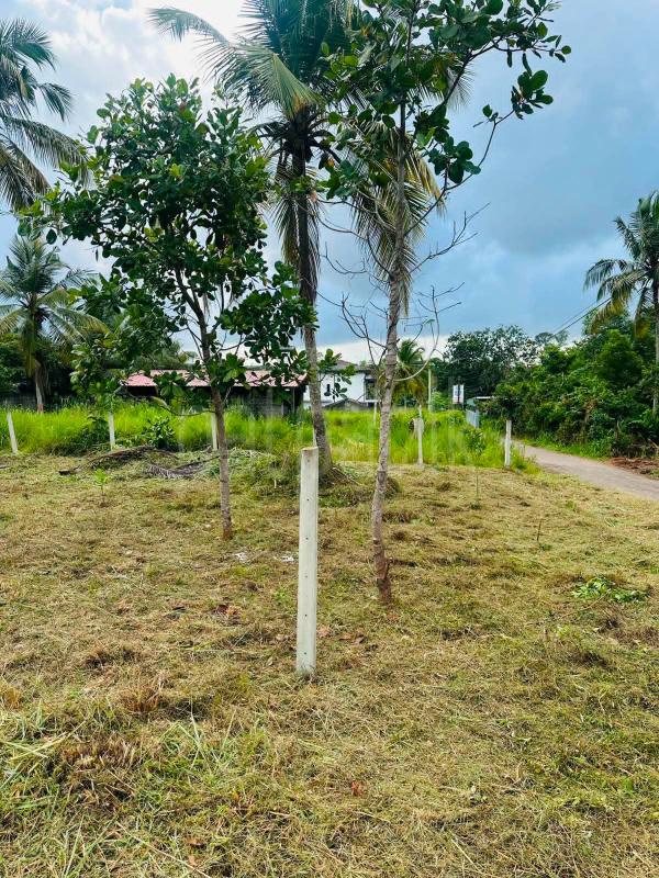 Residential Land for Sale in Divulapitiya