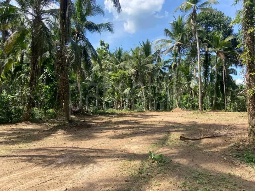 Commercial Land for Sale in Veyangoda