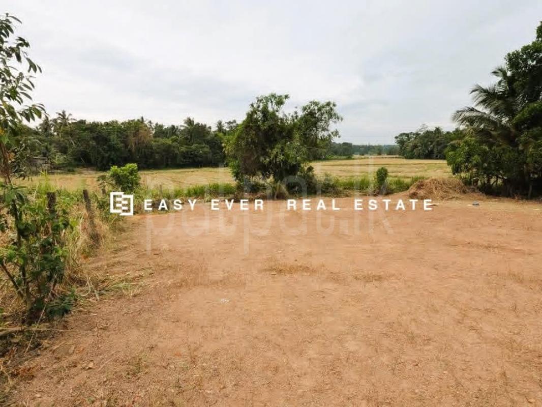 Residential Land for Sale in Nittambuwa