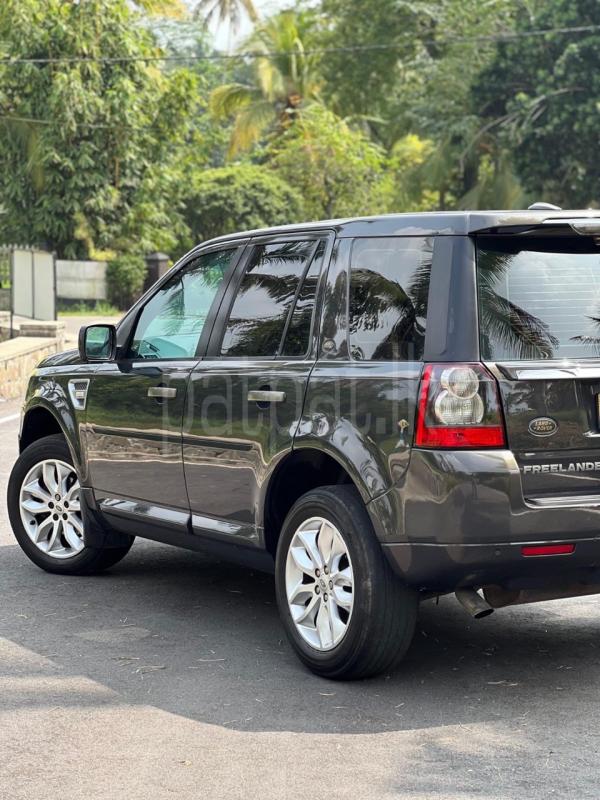 Advertisement image 3