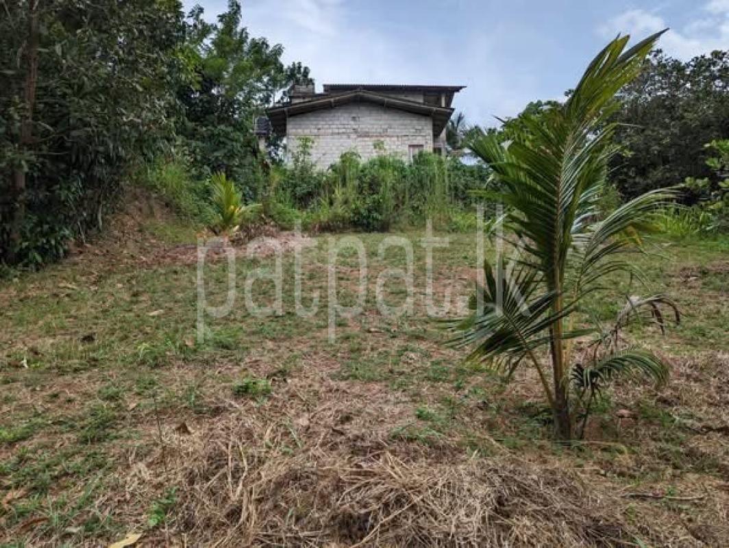 premium-listing-image