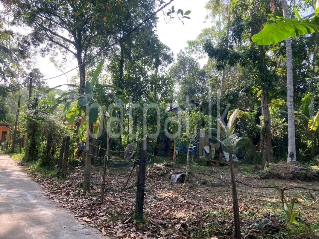 Residential Land for Sale in Wadduwa