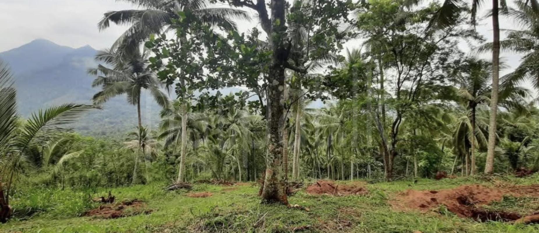 Agricultural Land for Sale in Kundasale