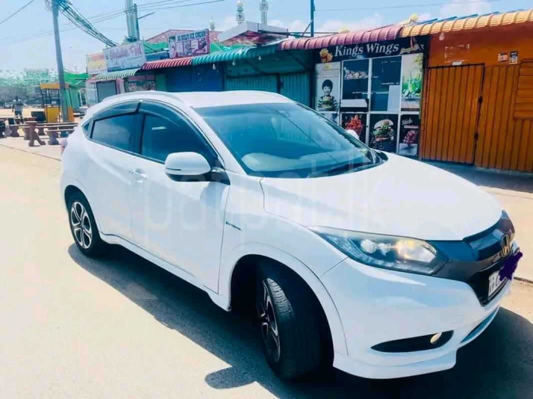 Advertisement image 3