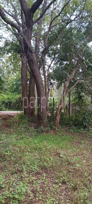 Residential Land for Sale in Kataragama