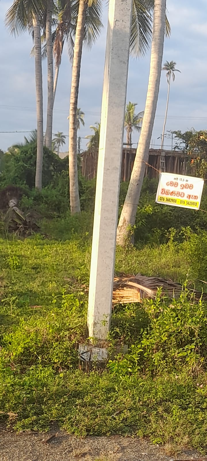 Commercial Land for Sale in Narammala