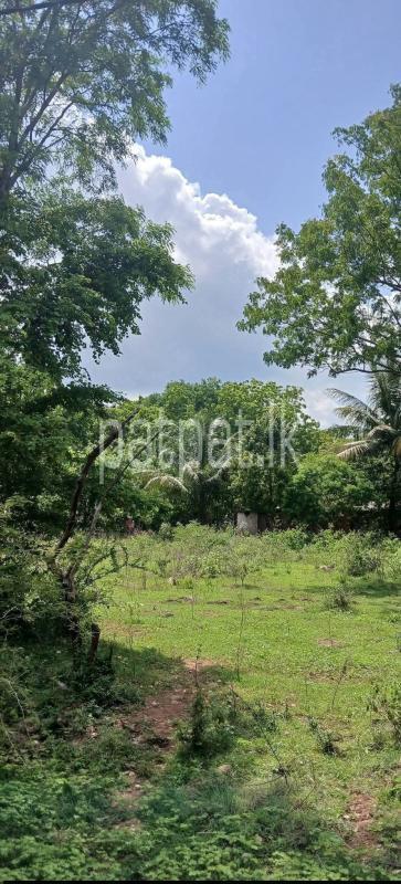 Residential Land for Sale in Kataragama