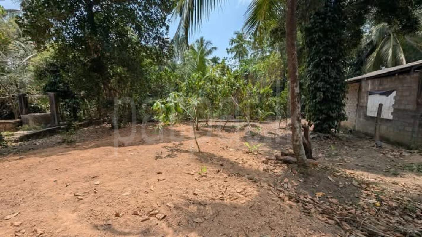 Residential Land for Sale in Kalagedihena