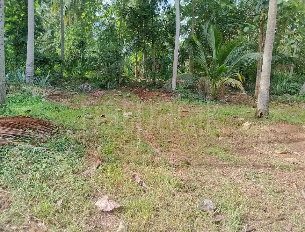 Agricultural Land for Sale in Maho