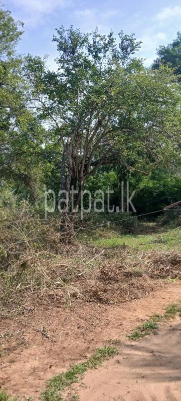 Residential Land for Sale in Kataragama