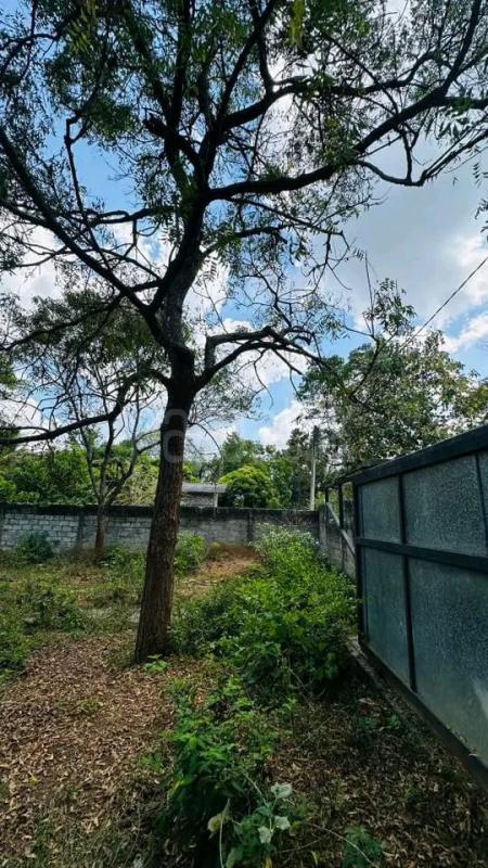 Residential Land for Sale in Kataragama ads-image-1