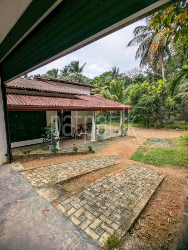 House for Sale in Nittambuwa ads-image-1