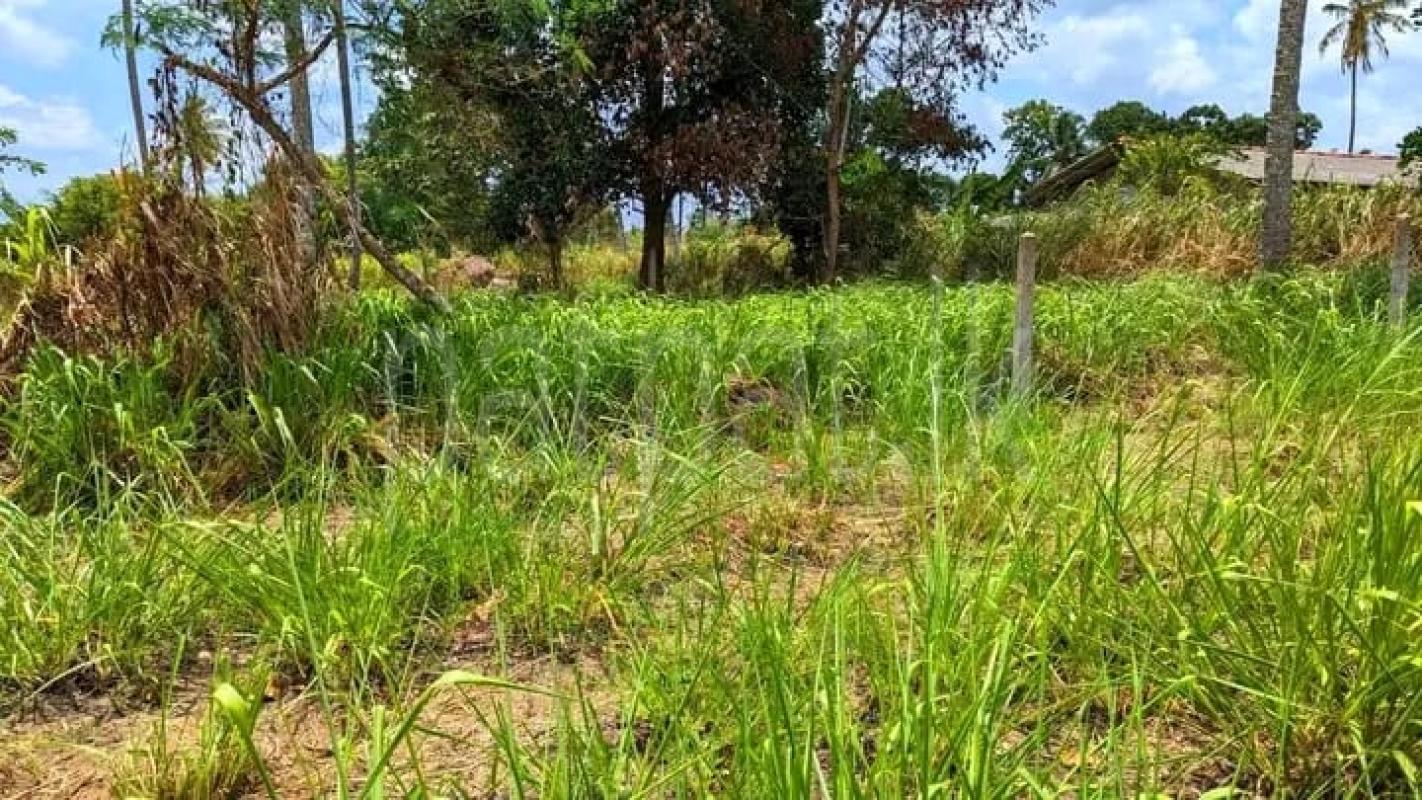 Commercial Land for Sale in Veyangoda ads-image-1