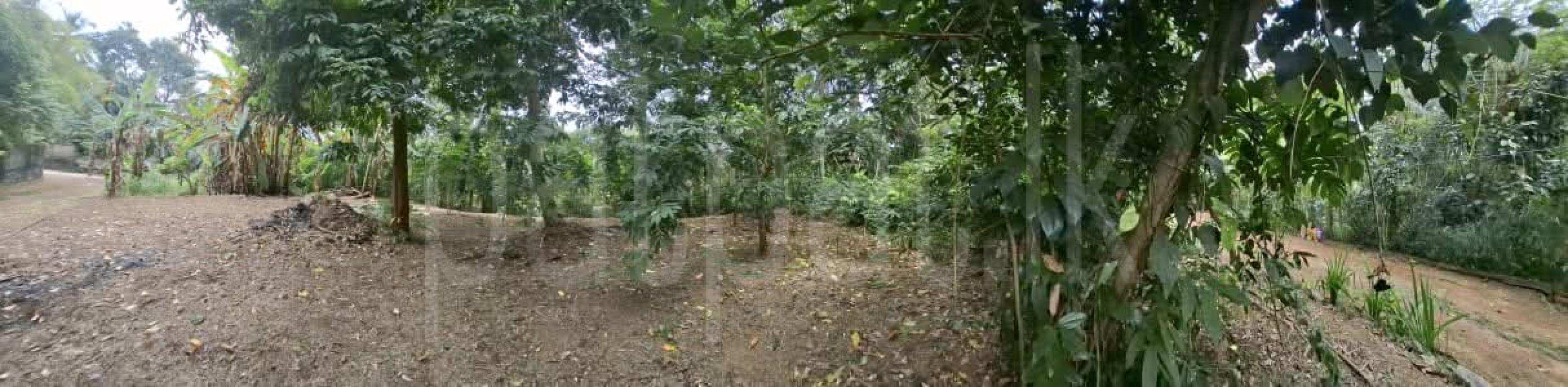 Residential Land for Sale in Polgasowita