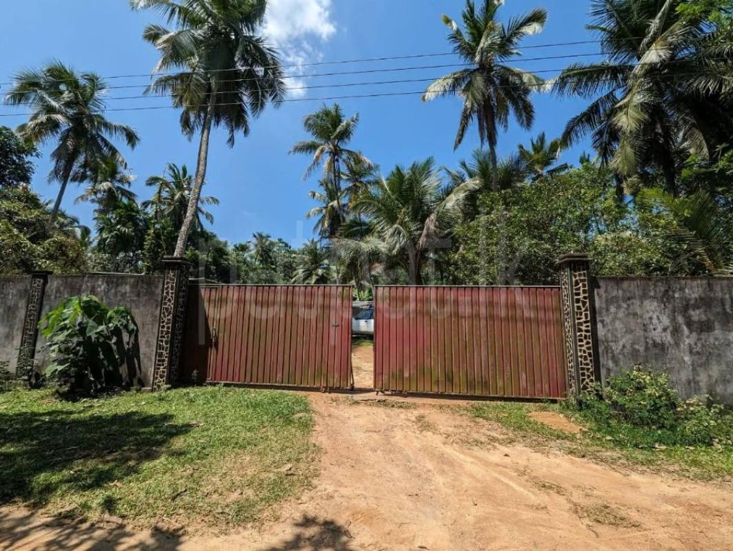 Advertisement image 1