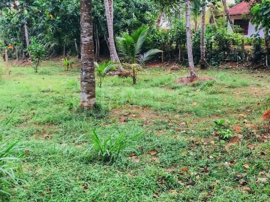 Residential Land for Sale in Makewita ads-image-1