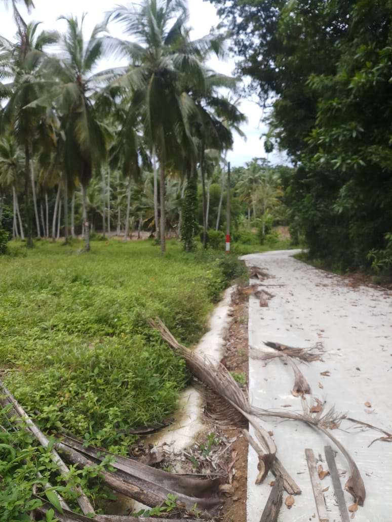 Residential Land for Sale in Yakkala