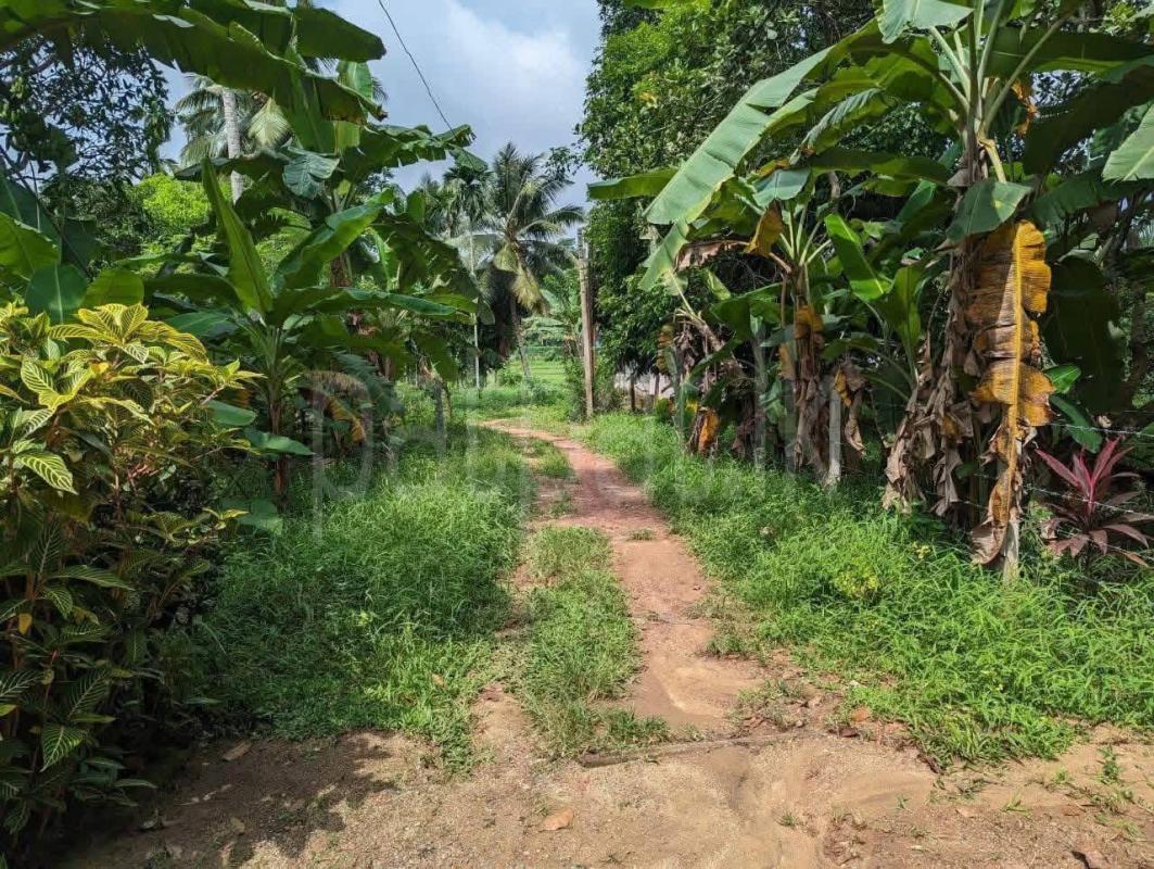Residential Land for Sale in Kadawatha