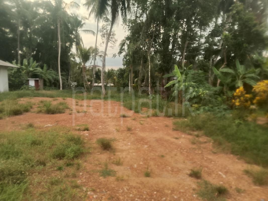 Residential Land for Sale in Kirindiwela