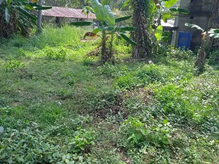 Commercial Land for Sale in Katupota ads-image-1