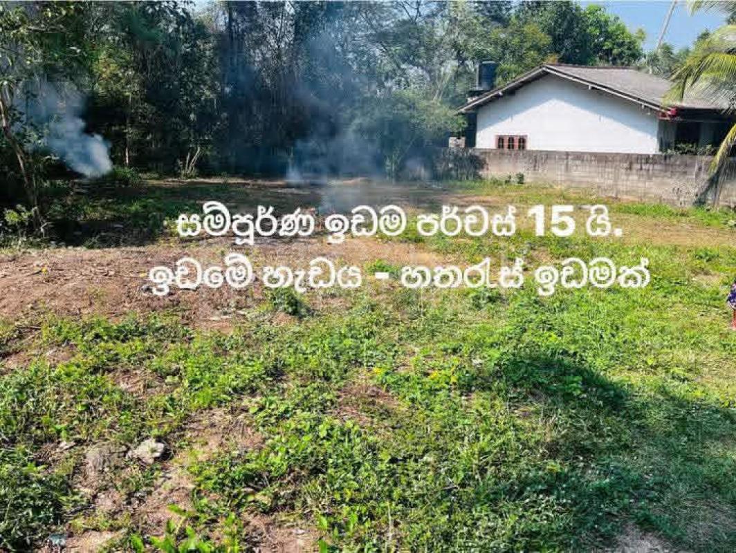  Land for Sale in Niwandama