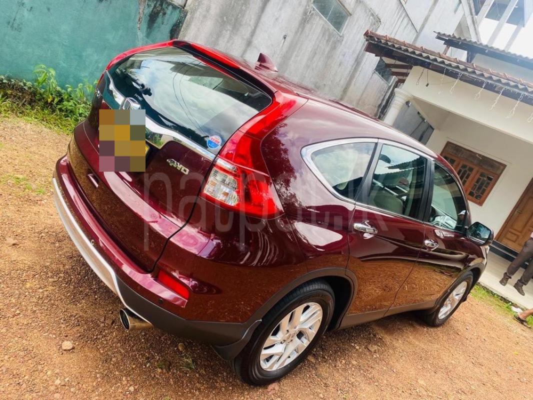 Advertisement image 4