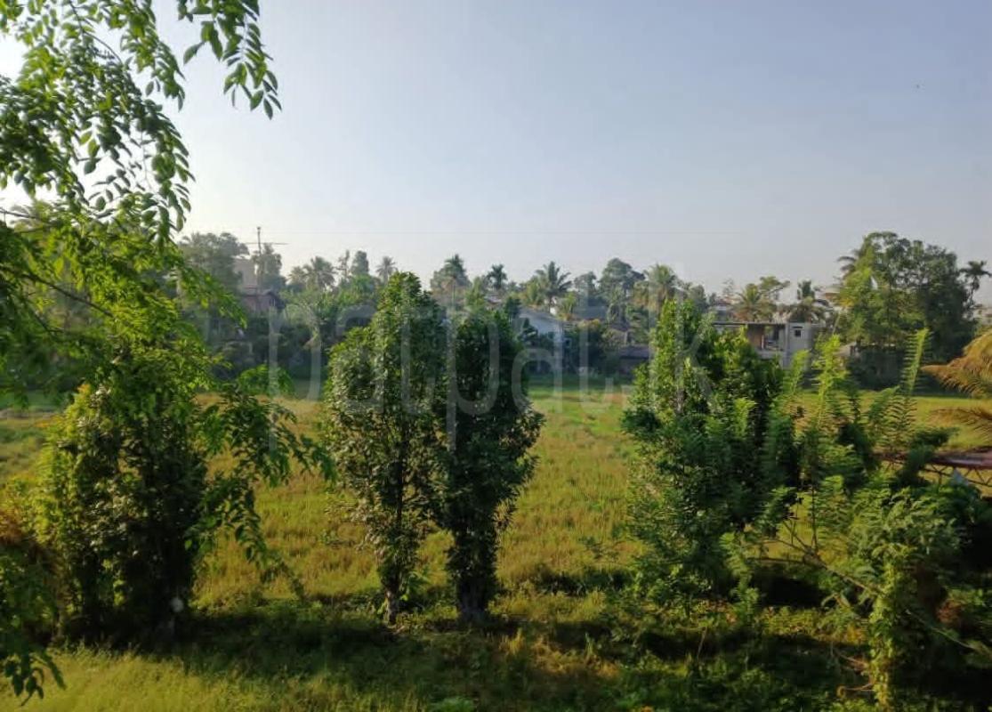 House for Sale in Pannipitiya
