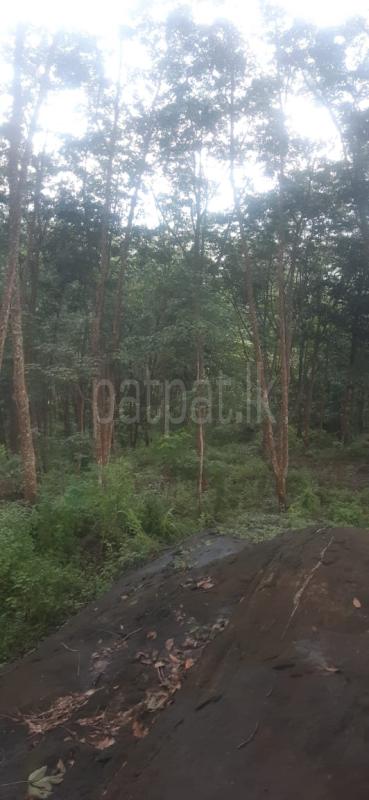 Commercial Land for Sale in Ambepussa