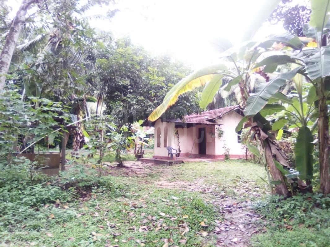 Residential Land for Sale in Veyangoda