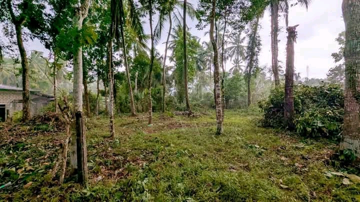 Commercial Land for Sale in Kalagedihena