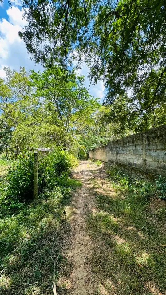 Residential Land for Sale in Badulla