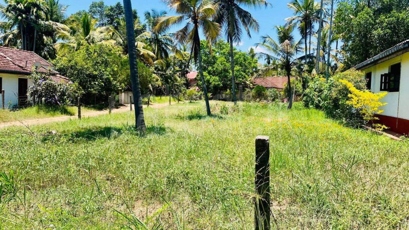 Commercial Land for Sale in Kurunegala ads-image-1