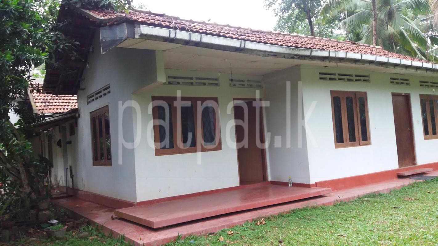 House for Rent in Divulapitiya ads-image-1