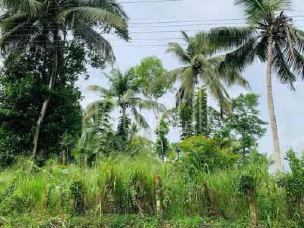 Residential Land for Sale in Veyangoda