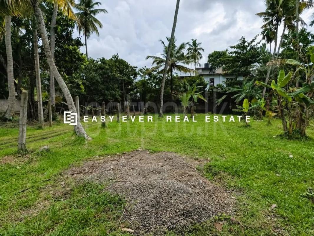 Residential Land for Sale in Ja-Ela