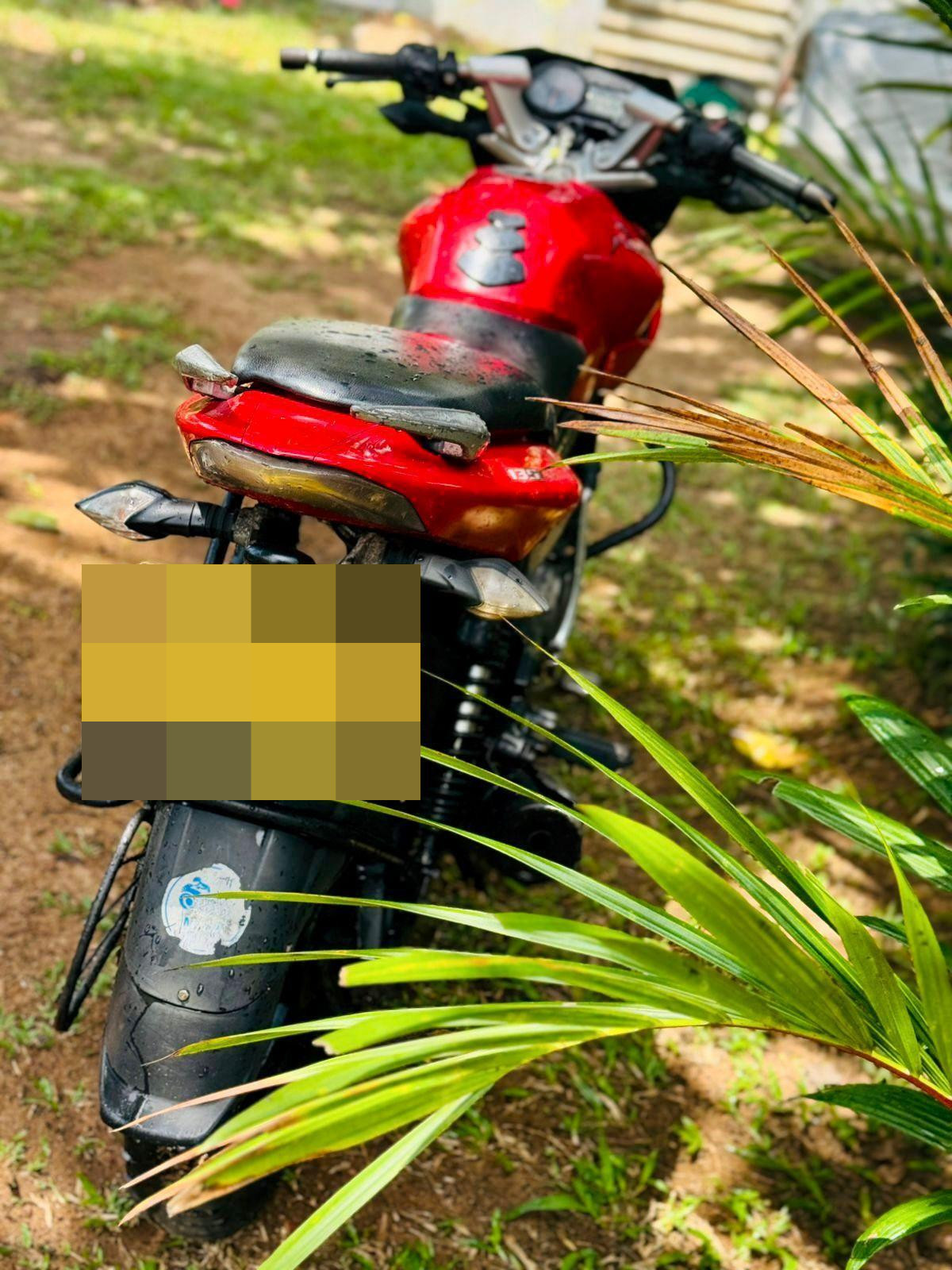 Bajaj Pulsar 2010 - Used Bike sale in Sri Lanka - patpat.lk