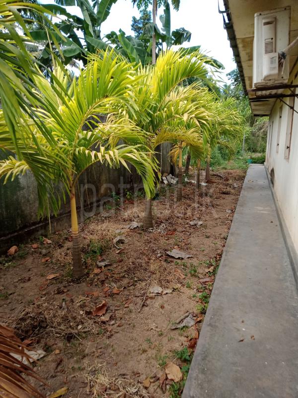 House for Sale in Minuwangoda