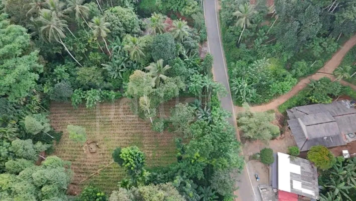 Commercial Land for Sale in Minuwangoda