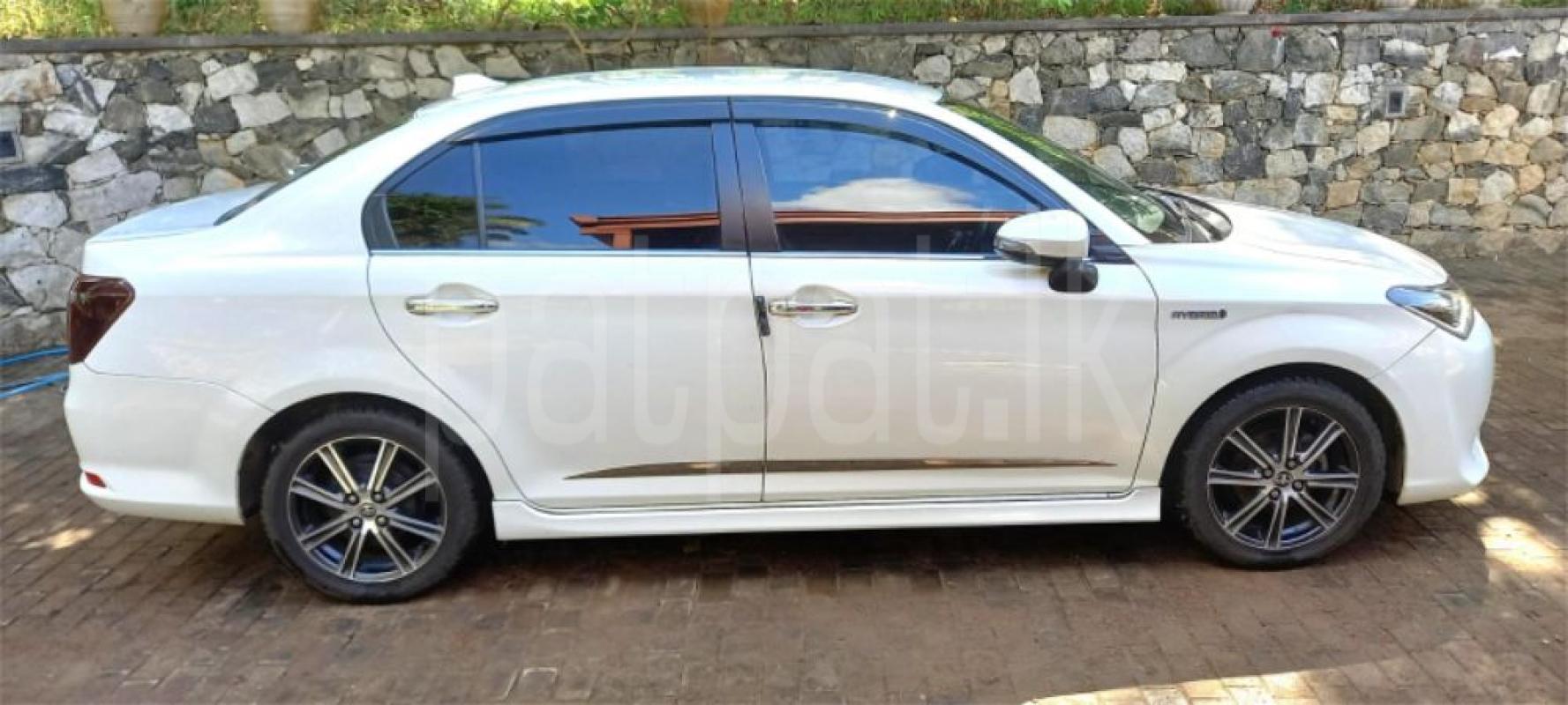 Advertisement image 5