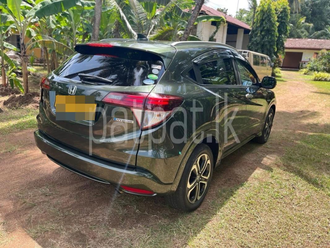 Advertisement image 3