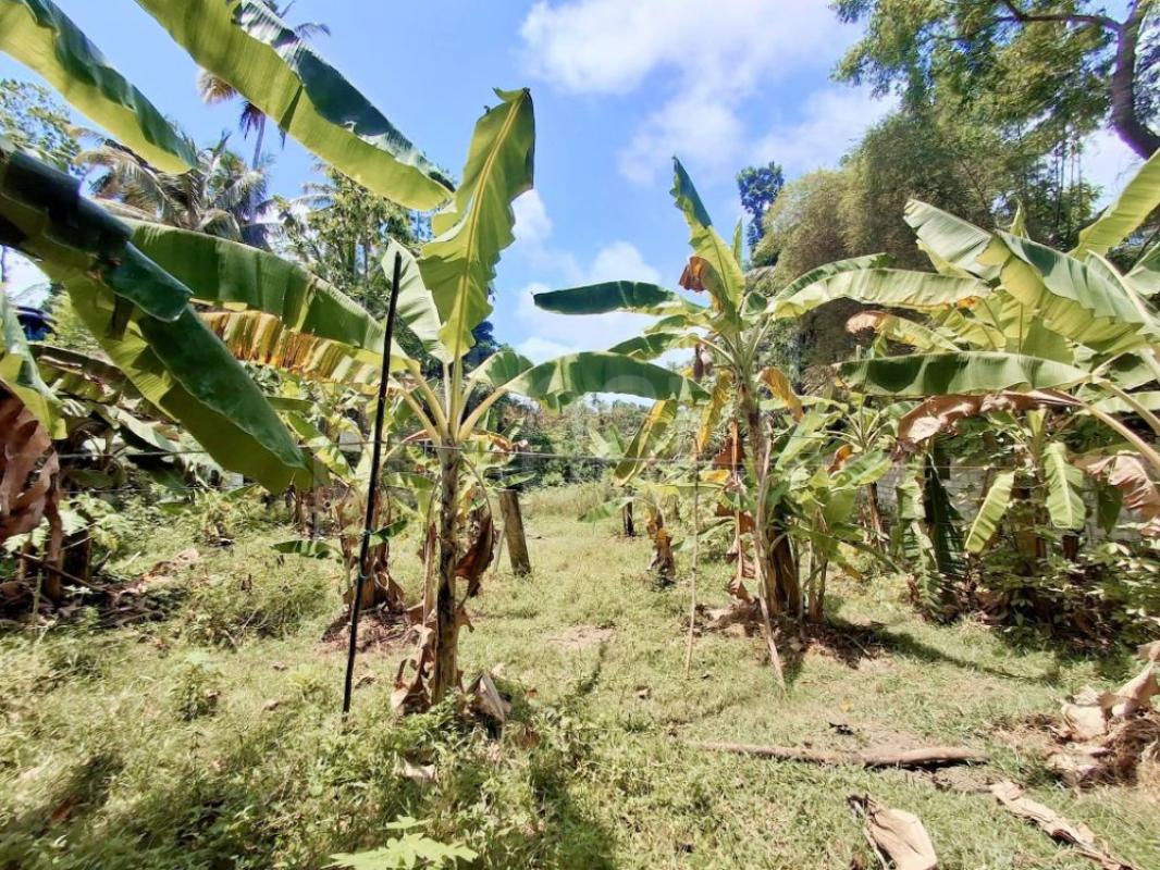 Residential Land for Sale in Panadura ads-image-1