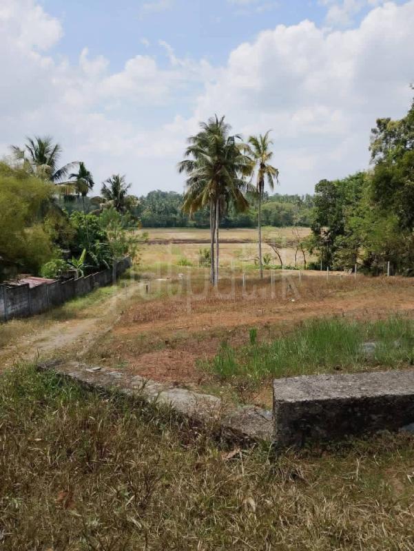 Commercial Land for Sale in Kadawatha