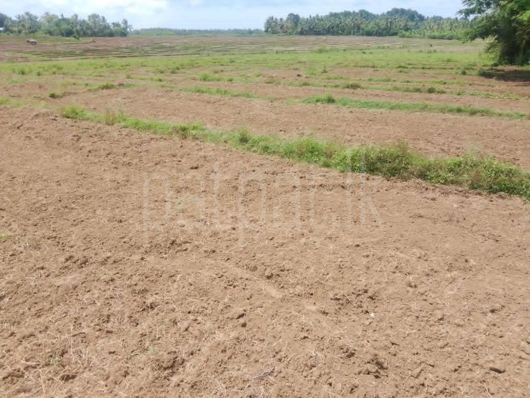 Agricultural Land for Sale in Hambantota
