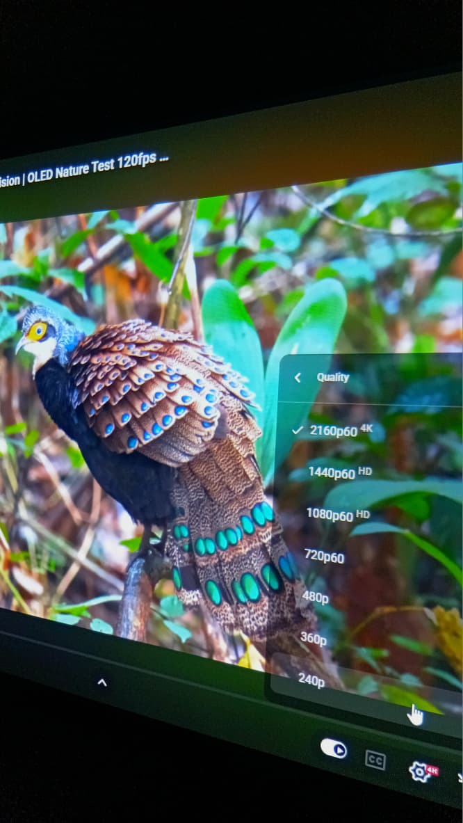 Optima Projector ( DLP )