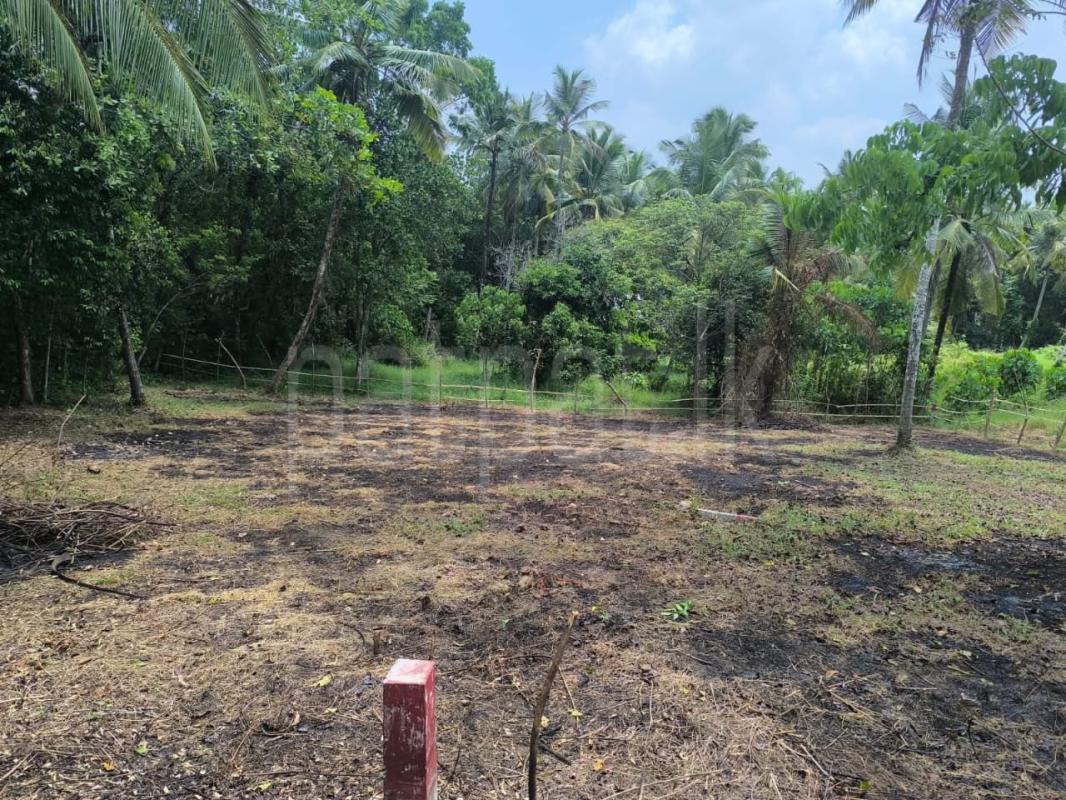 Agricultural Land for Sale in Ekala