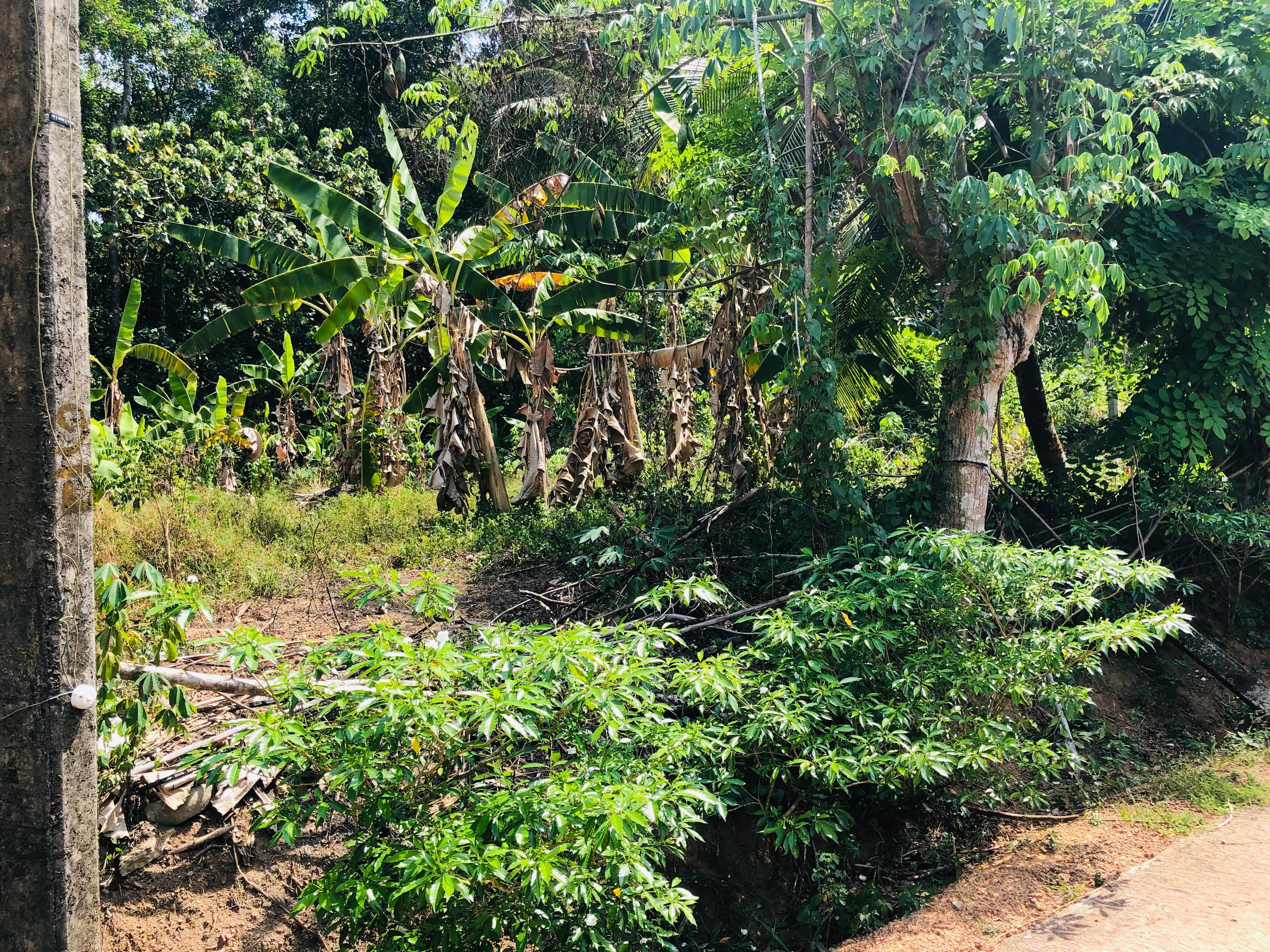 Residential Land for Sale in Kirindiwela