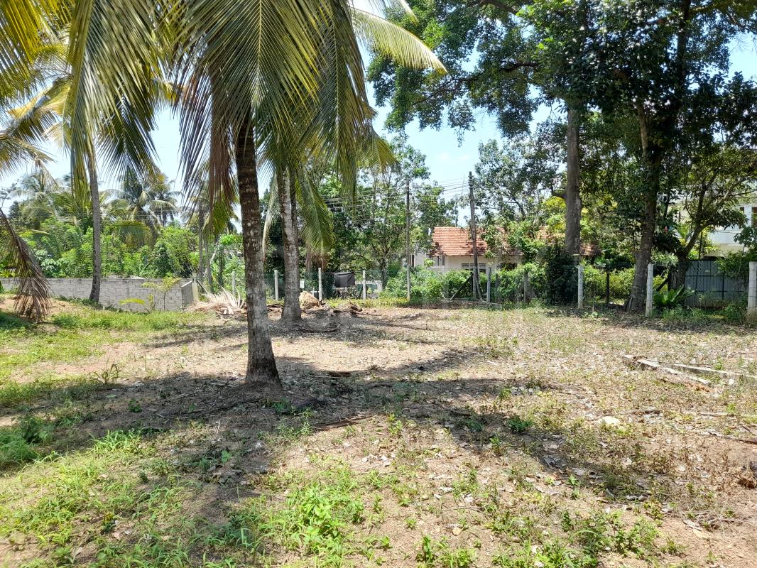 Residential Land for Sale in Kadawatha ads-image-1