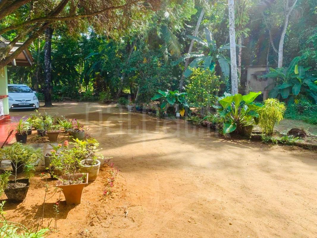 House for Sale in Kalutara